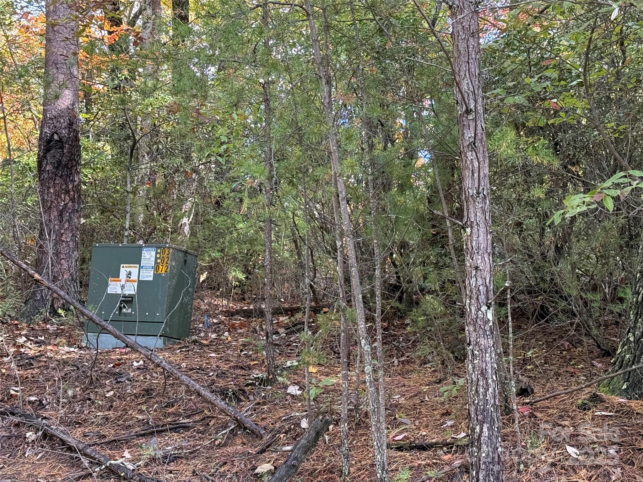 Tbd Wolf Pen Road, Unit 18 Purlear, NC 28665 - Photo 4 of 33 a view of a forest filled with trees