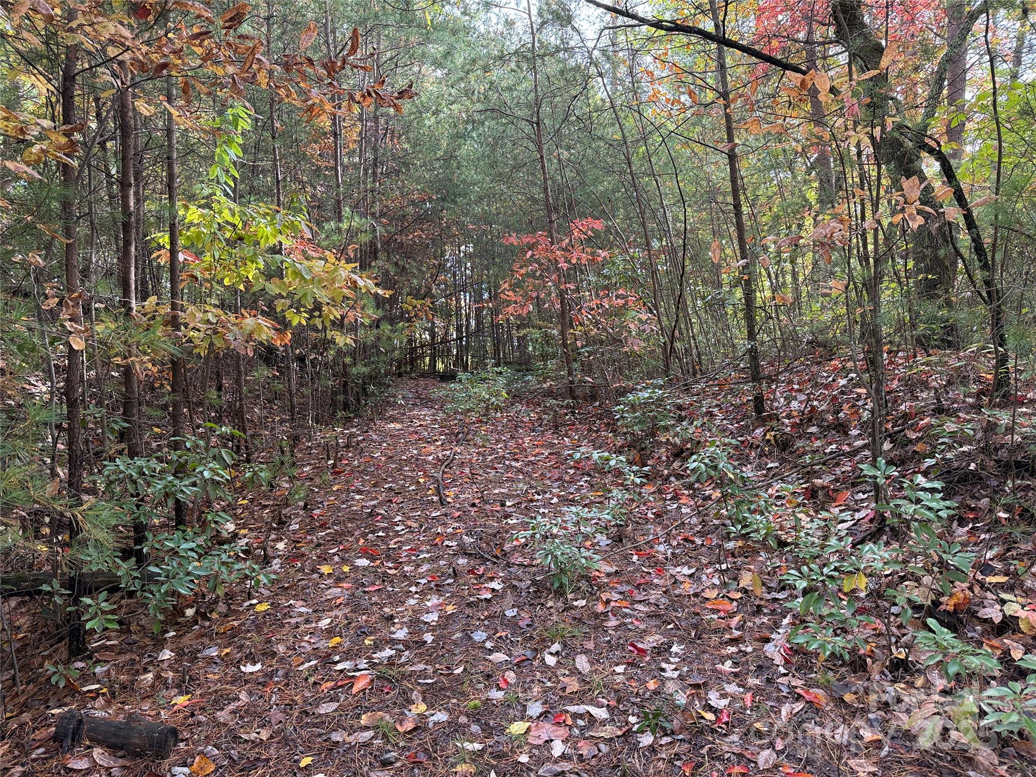 Tbd Wolf Pen Road, Unit 18 Purlear, NC 28665 - Photo 5 of 33 a backyard of a house with lots of green space
