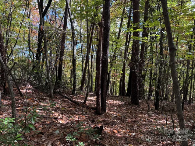 a view of outdoor space with lots of trees