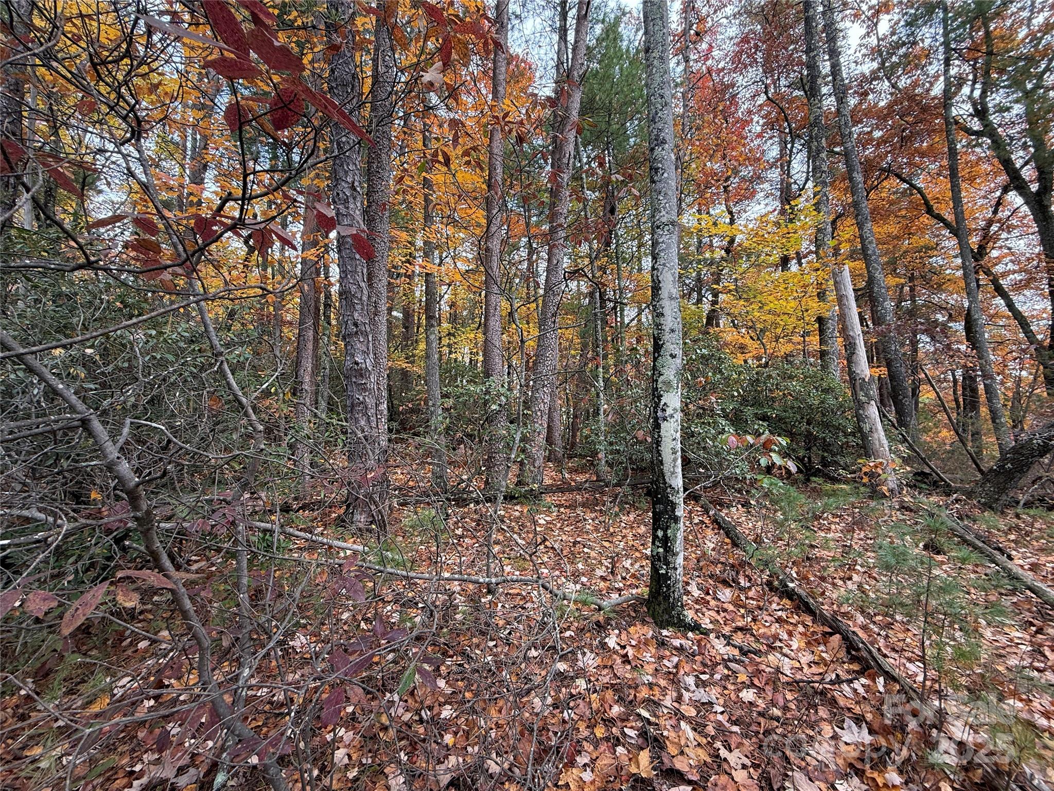 Tbd Wolf Pen Road, Unit 18 Purlear, NC 28665 - Photo 8 of 33 a big yard with lots of green space and fog