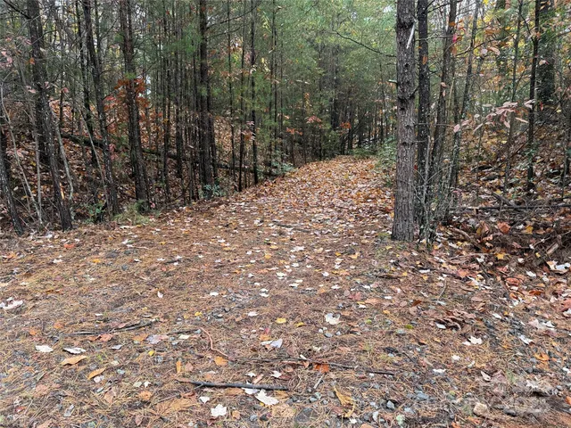 a view of a yard with trees