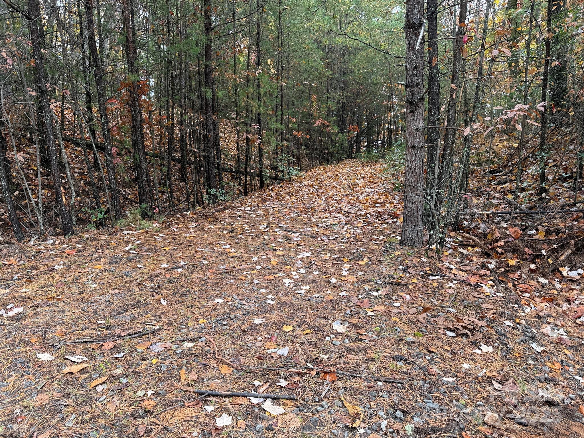 Tbd Wolf Pen Road, Unit 18 Purlear, NC 28665 - Photo 10 of 33 a view of a yard with trees
