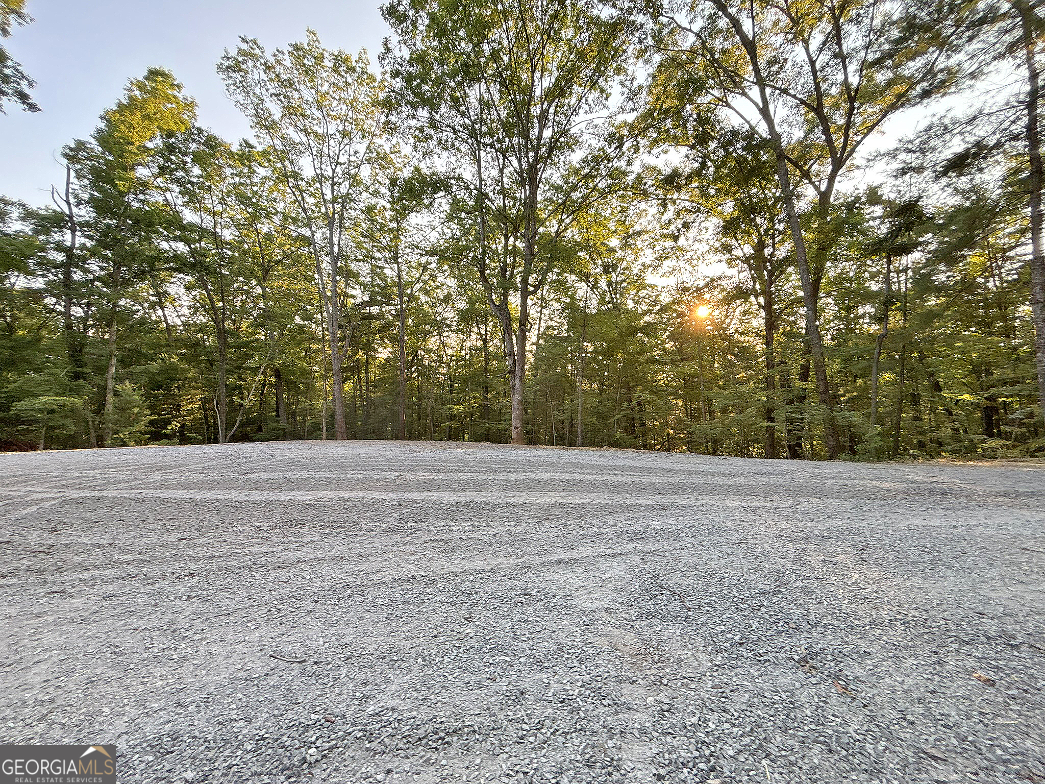 Lot 20 Mt Springer Road Ellijay, GA 30540 - Photo 10 of 32