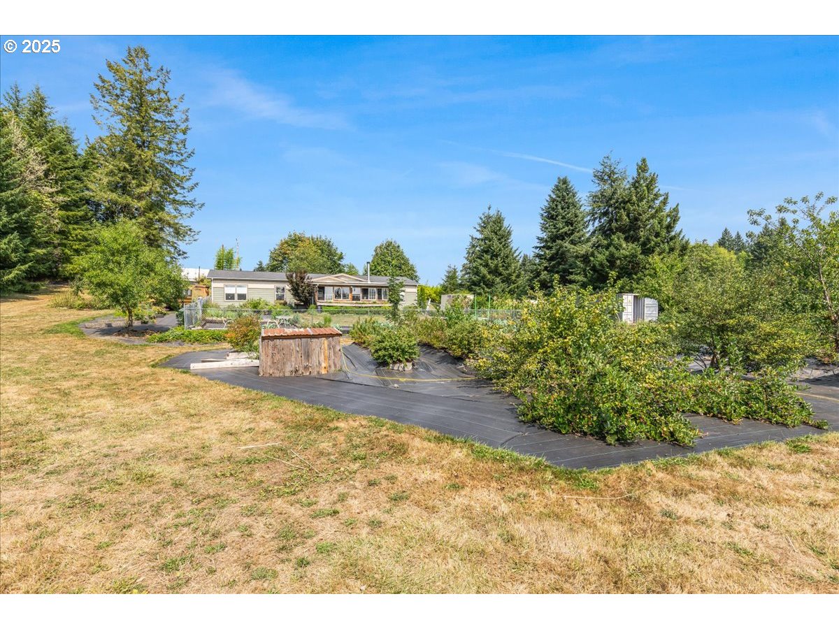 864 Spencer Road Toledo, WA 98591 - Photo 31 of 44