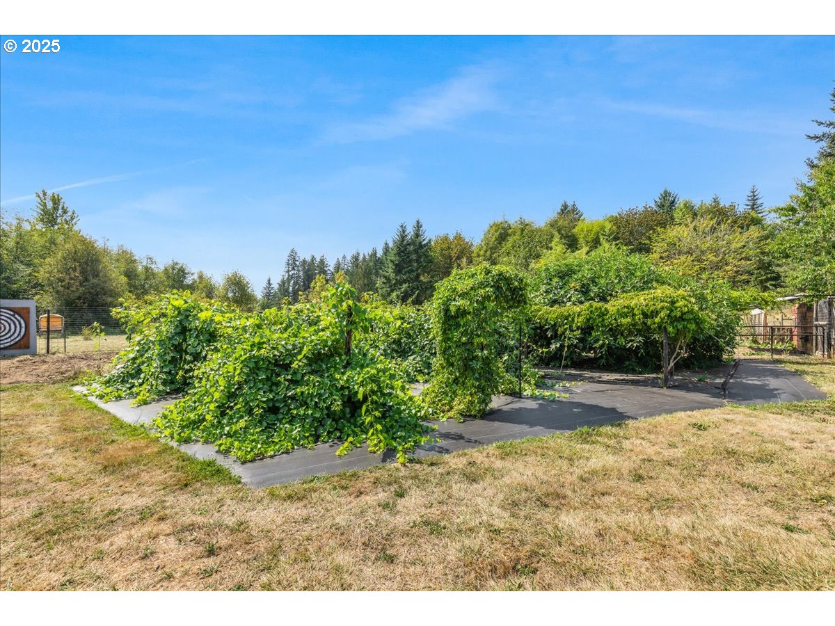 864 Spencer Road Toledo, WA 98591 - Photo 34 of 44