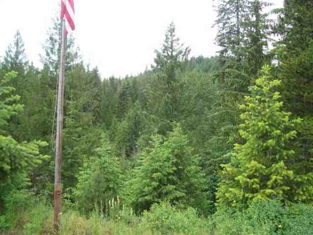 3381 North Caffel Road Chewelah, WA 99109 - Photo 7 of 8 Gallery Image 7