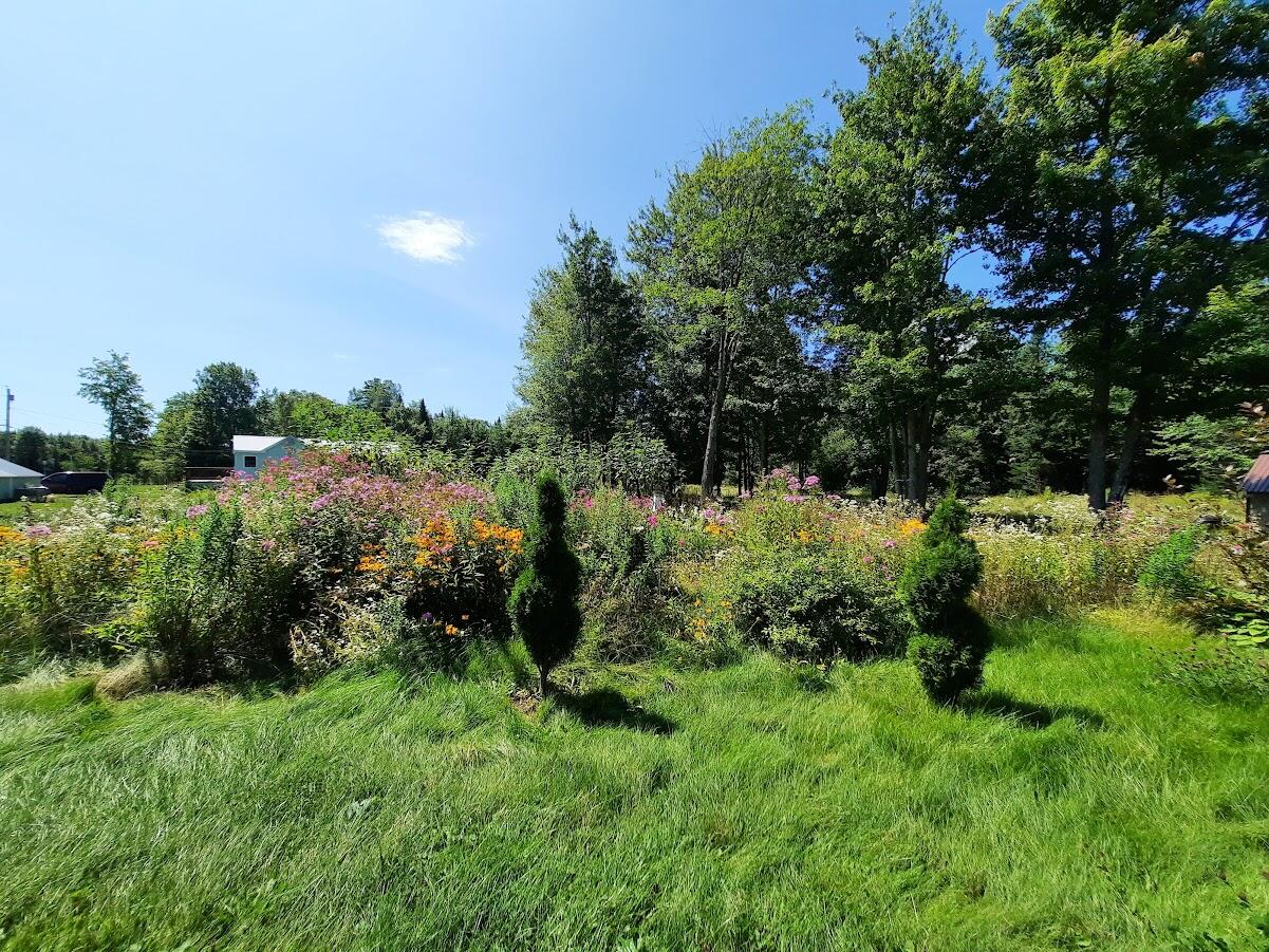 2595 Edinburg Road Old Town, ME 04468 - Photo 18 of 19 Fall garden