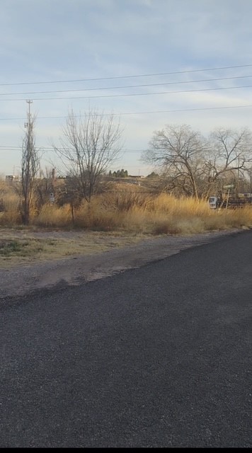 102 North Aparejo Street Marfa, TX 79843 - Photo 2 of 5 View of asphalt street