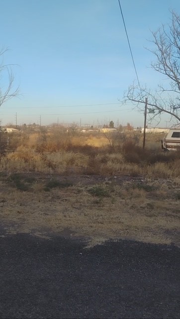 102 North Aparejo Street Marfa, TX 79843 - Photo 4 of 5 View of yard featuring a view of countryside