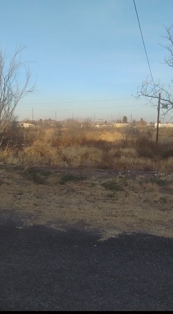 102 North Aparejo Street Marfa, TX 79843 - Photo 5 of 5