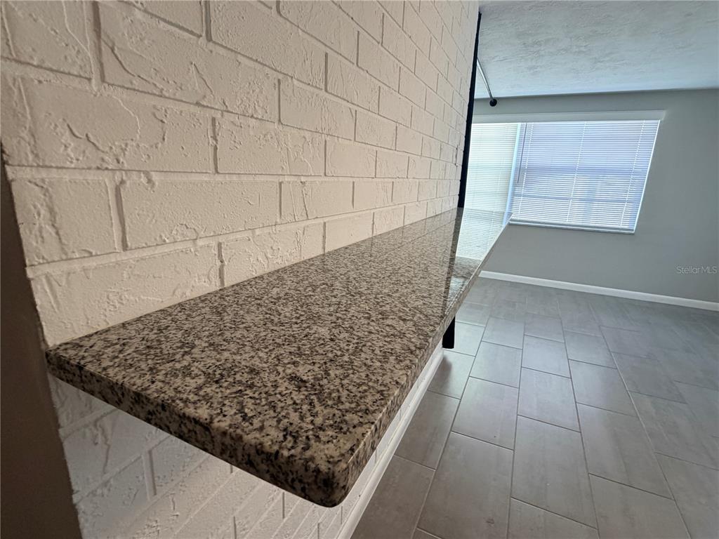 4636 Irene Loop, Unit 1 New Port Richey, FL 34652 - Photo 6 of 11 view of microwave