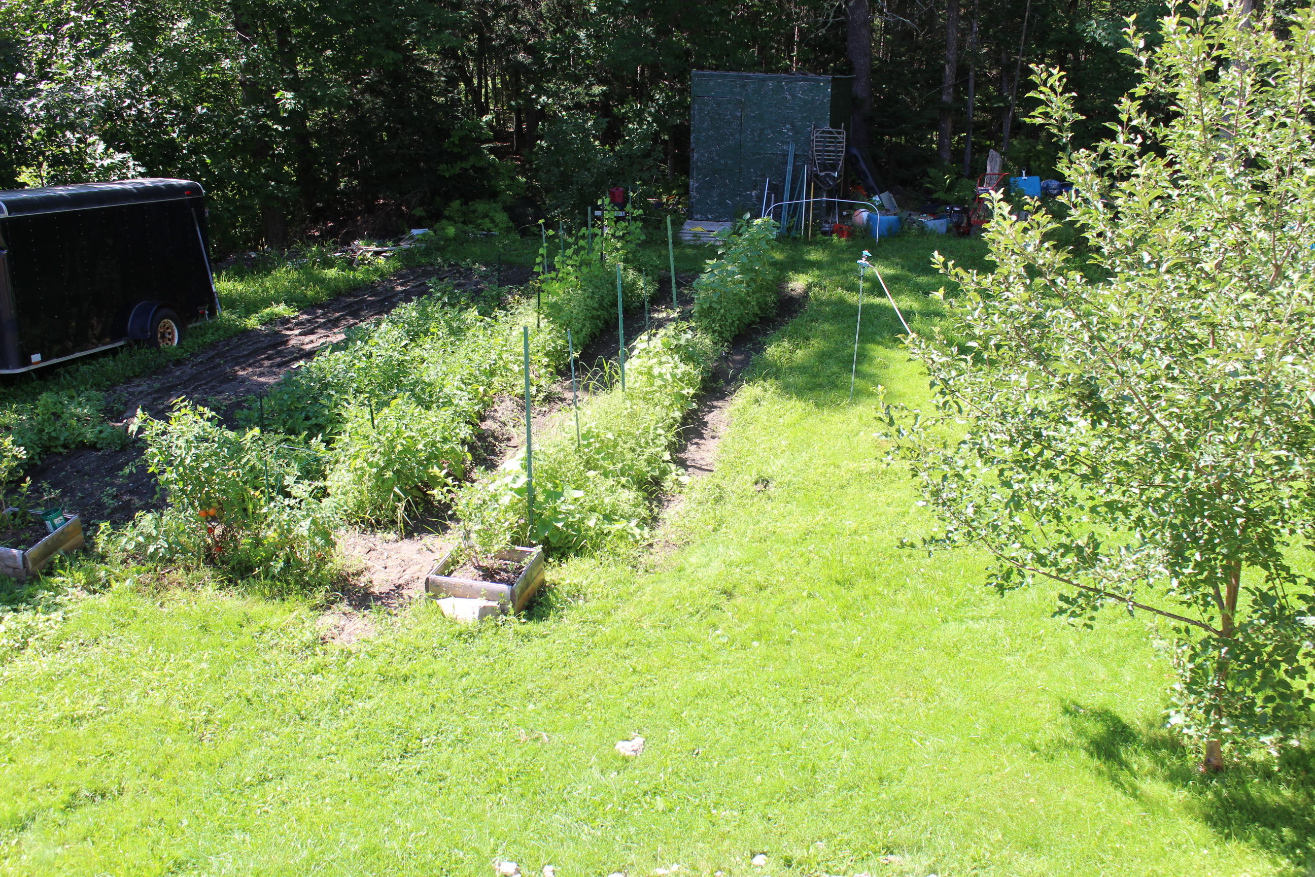 167 Pease Bridge Road Abbot, ME 04406 - Photo 15 of 18 Garden