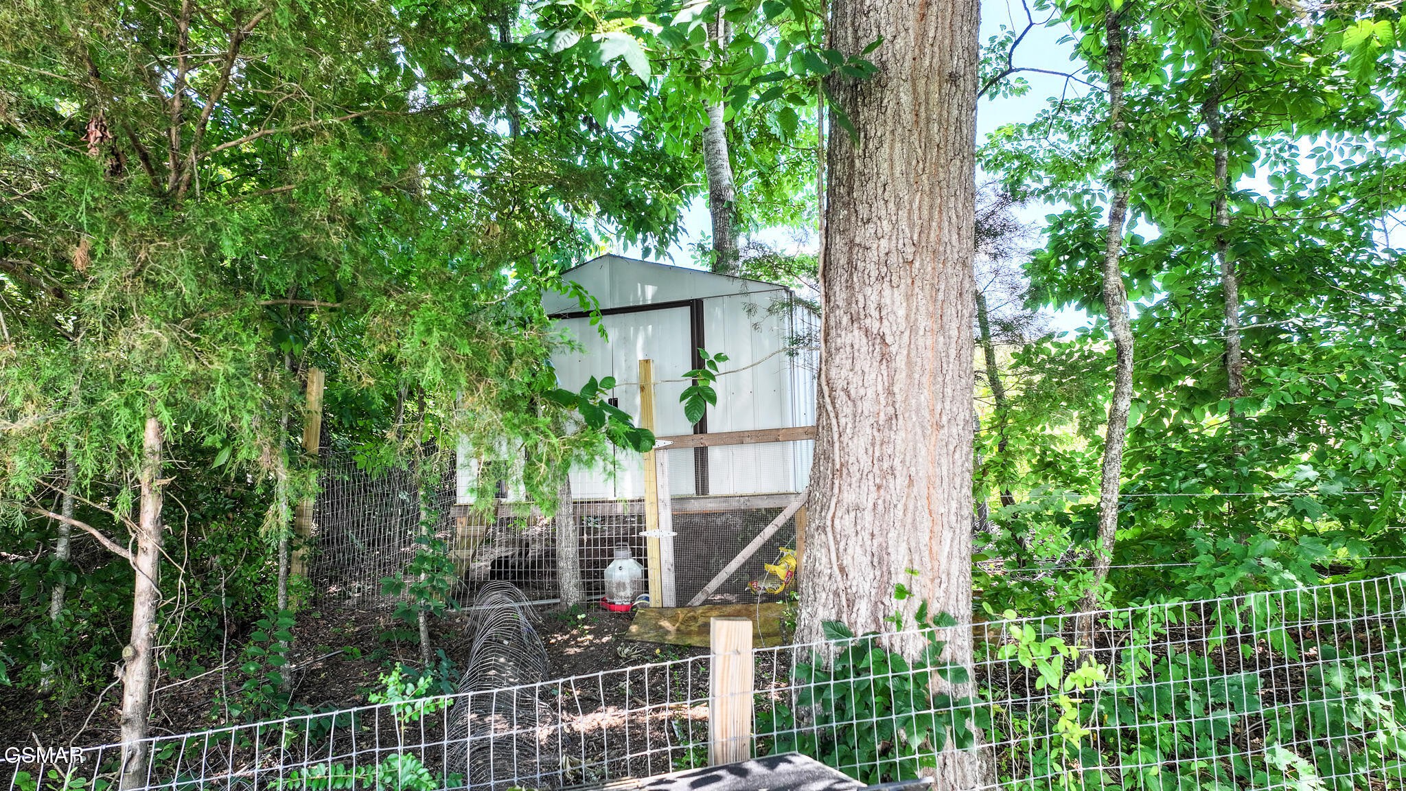 Gallery Image 7
