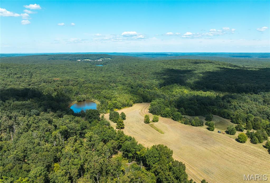 4 Buck Mountain Road Ironton, MO 63650 - Photo 12 of 27