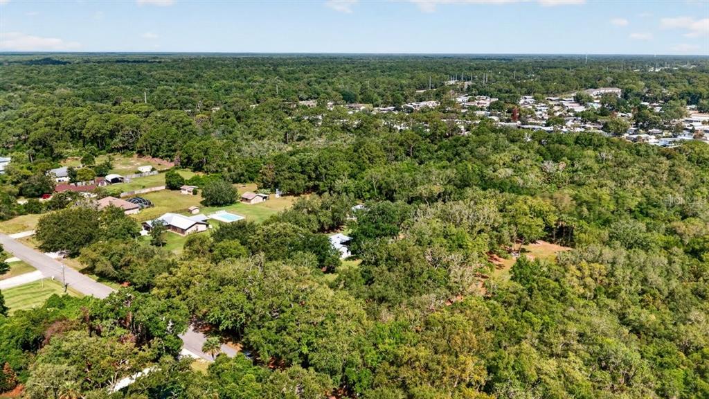 171 William Street Edgewater, FL 32141 - Photo 37 of 40 an aerial view of residential houses with outdoor space and trees