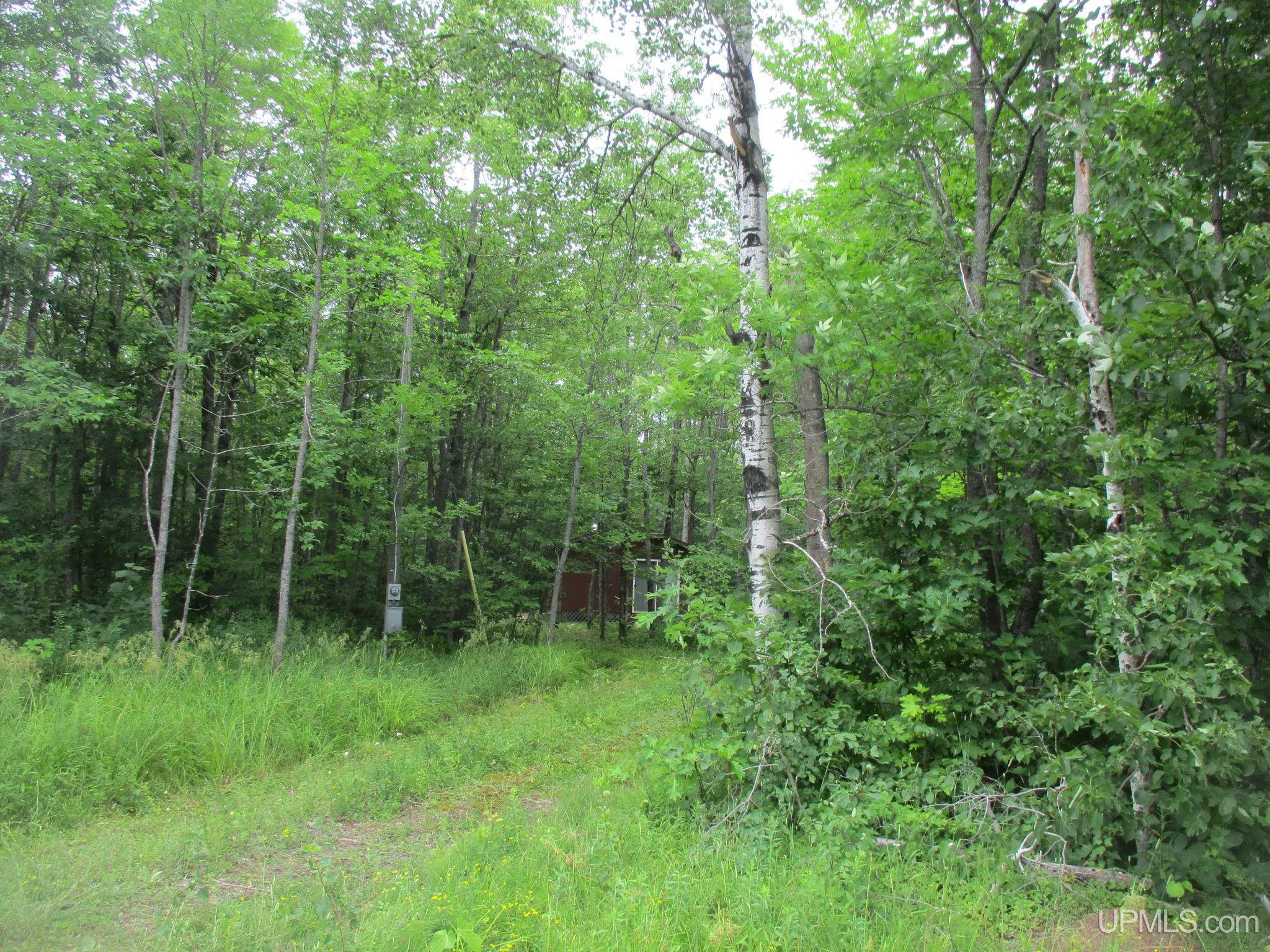 28647 Post Office Road Mass City, MI 49948 - Photo 2 of 9 Gallery Image 2