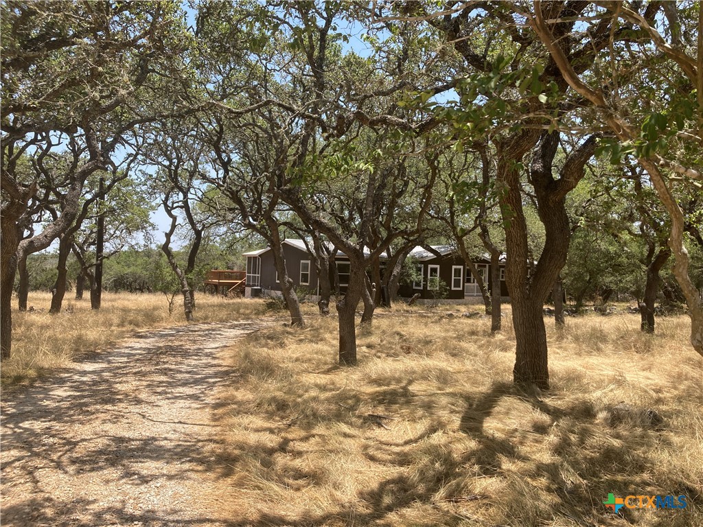 800 Thurman Road San Marcos, TX 78666 - Photo 10 of 10