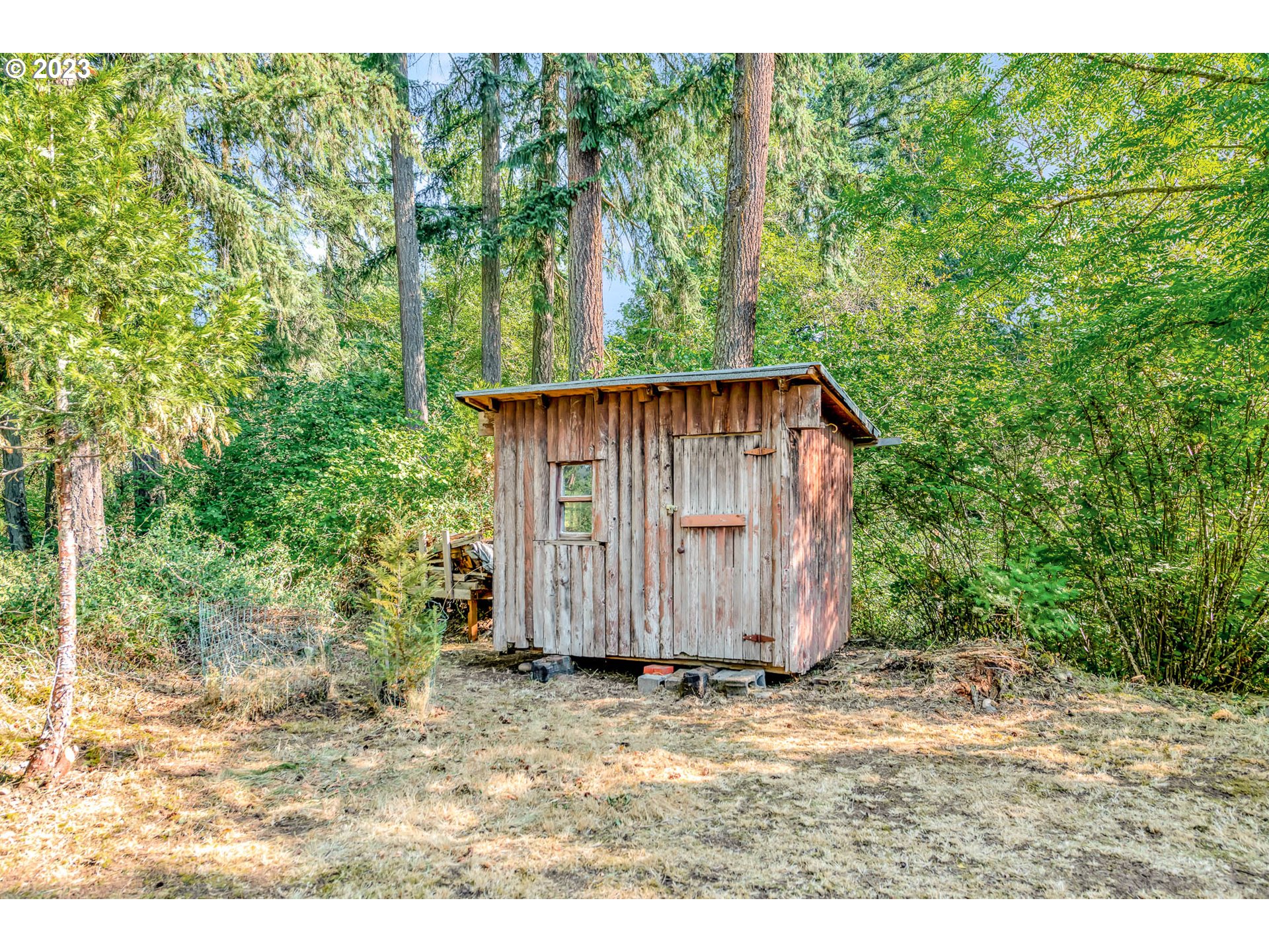 77383 Mosby Creek Road Cottage Grove, OR 97424 - Photo 42 of 48 Yard