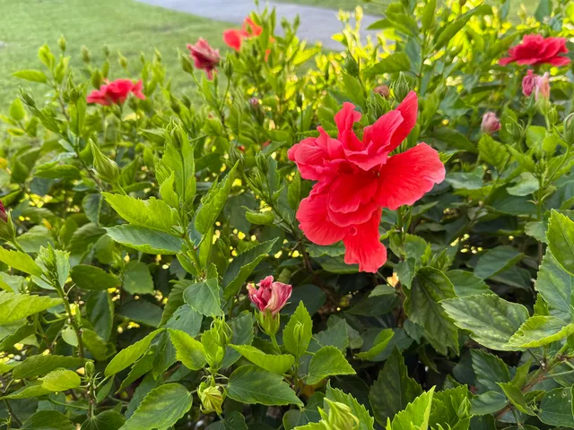 a view of a hallway with dining area and glass door
