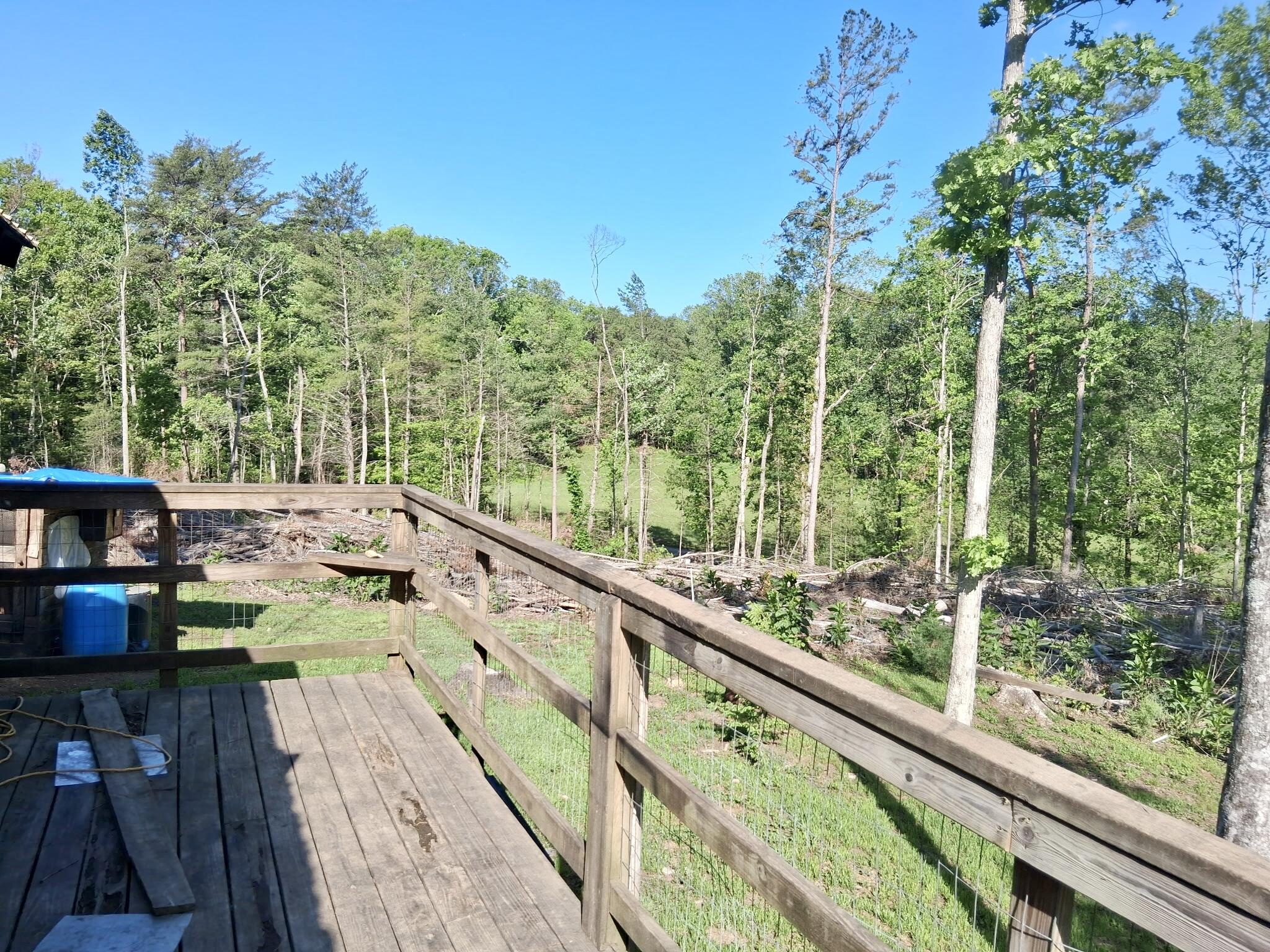 233 Fingerboard Road Tellico Plains, TN 37385 - Photo 15 of 18 1000002235