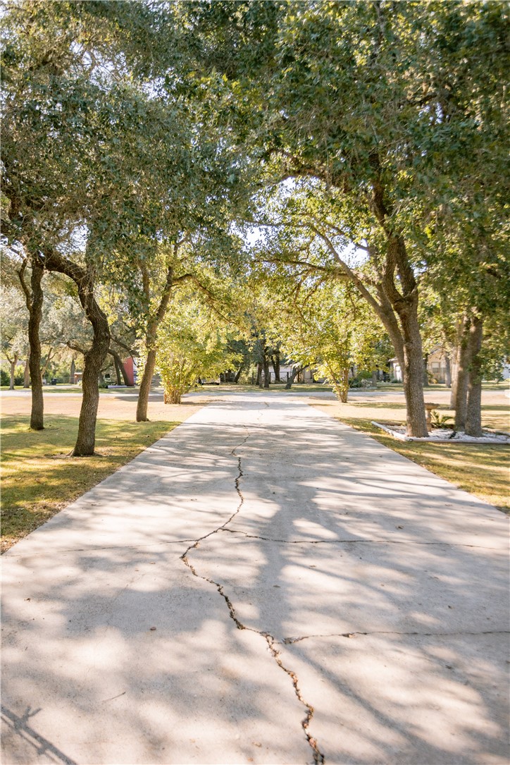 324 Stirrup Road Victoria, TX 77905 - Photo 37 of 40 a view of road with trees
