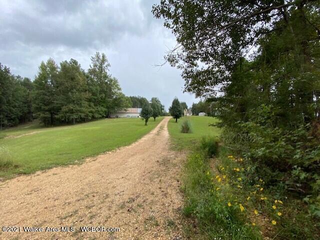 2036 Dodson Road Winfield, AL 35594 - Photo 36 of 37 Gallery Image 36