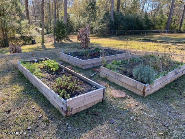 737 Windsor Road Macon, GA 31204 - Photo 17 of 17 Raised Beds