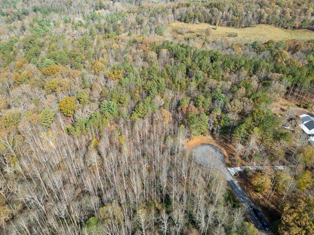 Lot 7 Highpoint Ridge Road Ellijay, GA 30536 - Photo 11 of 25 Gallery Image 11