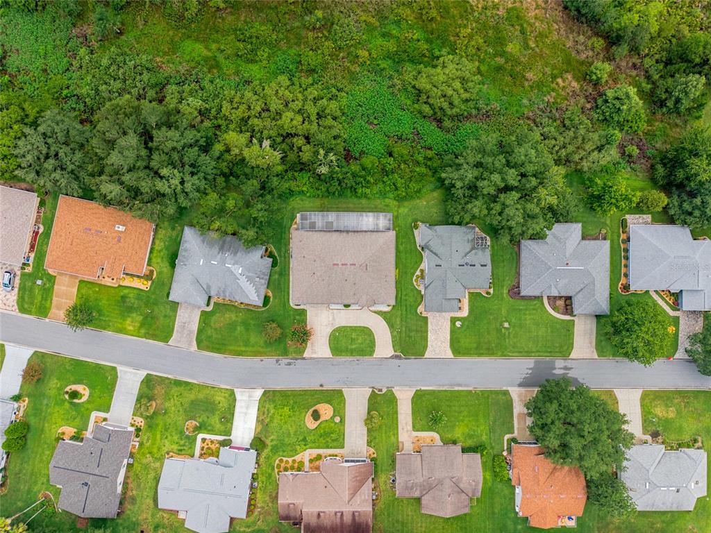27202 Racquet Circle Leesburg, FL 34748 - Photo 51 of 61