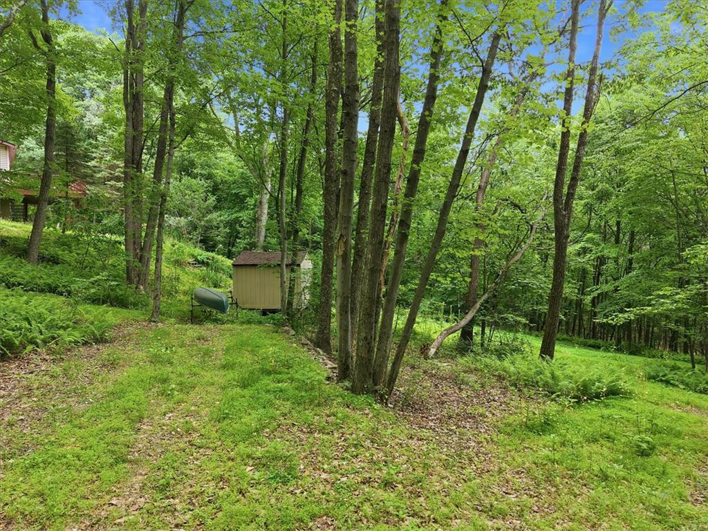 520 Highland Hill Road Jim Thorpe, PA 18235 - Photo 63 of 83 A tranquil, wooded lot features a functional shed and ample natural privacy.