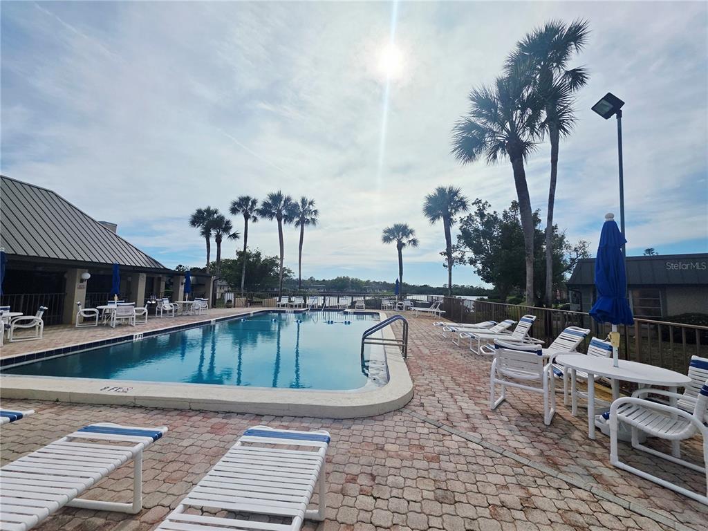 4461 Rustic Drive, Unit 4461 New Port Richey, FL 34652 - Photo 26 of 34 a view of a swimming pool with lounge chairs