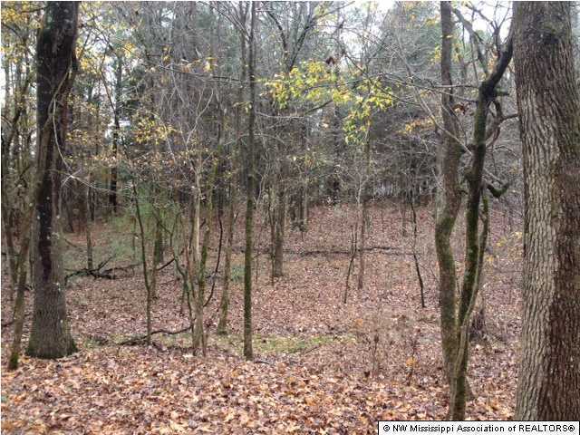26 McClure Road Red Banks, MS 38661 - Photo 20 of 20 Additional Photo