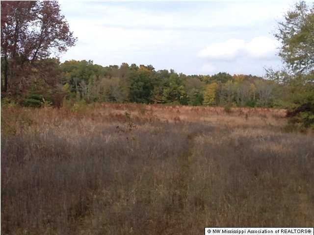 26 McClure Road Red Banks, MS 38661 - Photo 2 of 20 Additional Photo