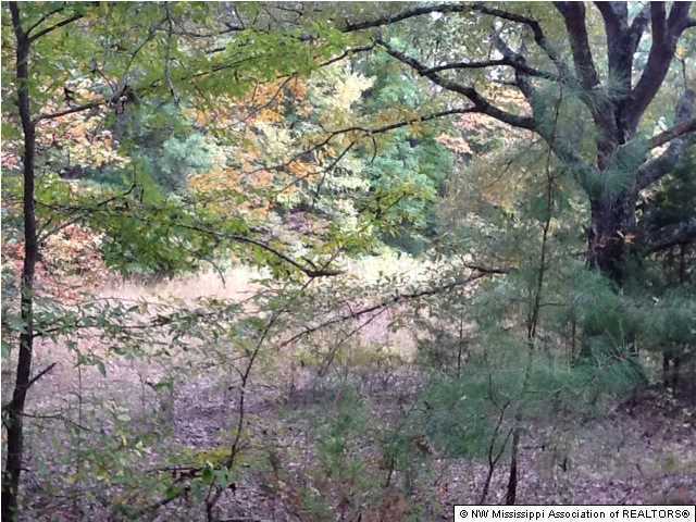26 McClure Road Red Banks, MS 38661 - Photo 3 of 20 Additional Photo