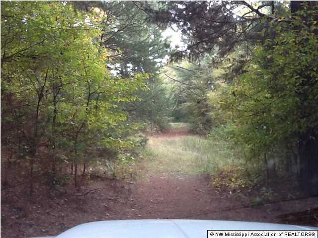 26 McClure Road Red Banks, MS 38661 - Photo 5 of 20 Additional Photo