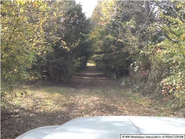 26 McClure Road Red Banks, MS 38661 - Photo 6 of 20 Additional Photo