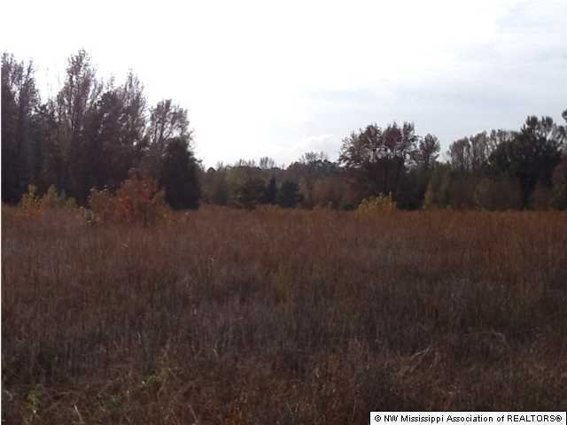 26 McClure Road Red Banks, MS 38661 - Photo 9 of 20 Additional Photo