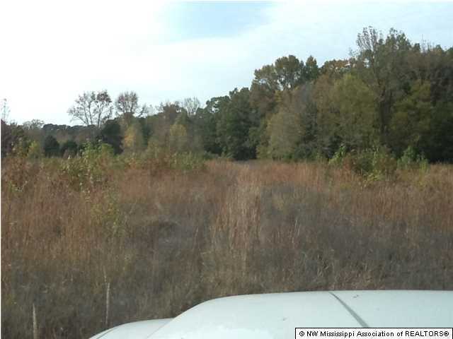 26 McClure Road Red Banks, MS 38661 - Photo 10 of 20 Additional Photo