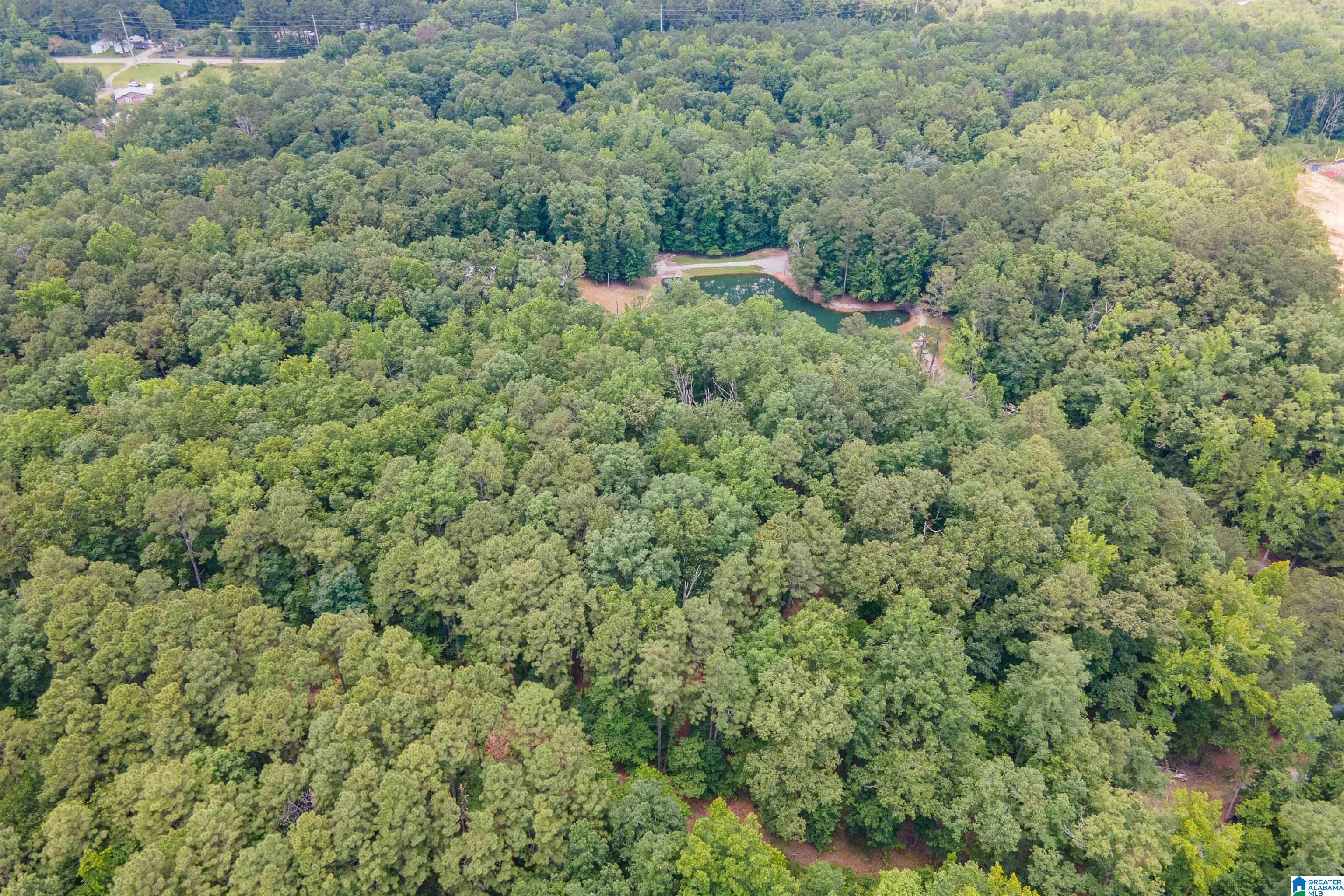 517 Hodgens Road Chelsea, AL 35043 - Photo 70 of 79