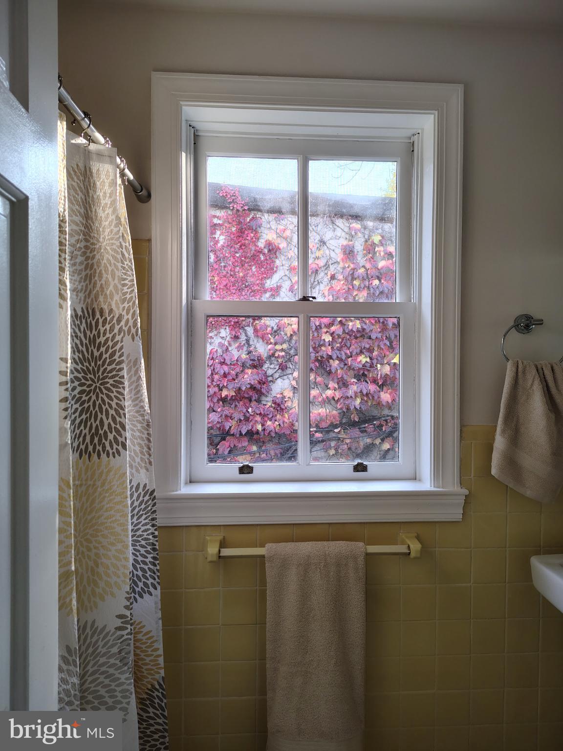4 Rainey Court Philadelphia, PA 19103 - Photo 31 of 35 Charming bathroom view with vibrant foliage.