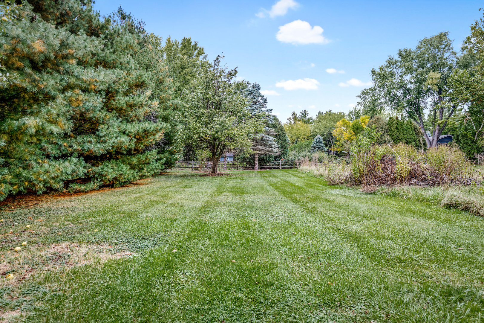 1N136 Pouley Road Elburn, IL 60119 - Photo 25 of 30 a grassy field with trees in the background