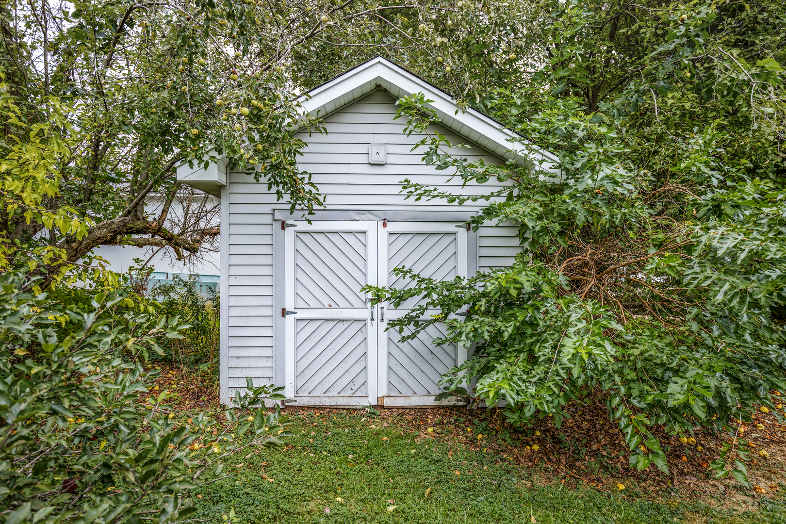 1N136 Pouley Road Elburn, IL 60119 - Photo 26 of 30 a view of outdoor space and yard