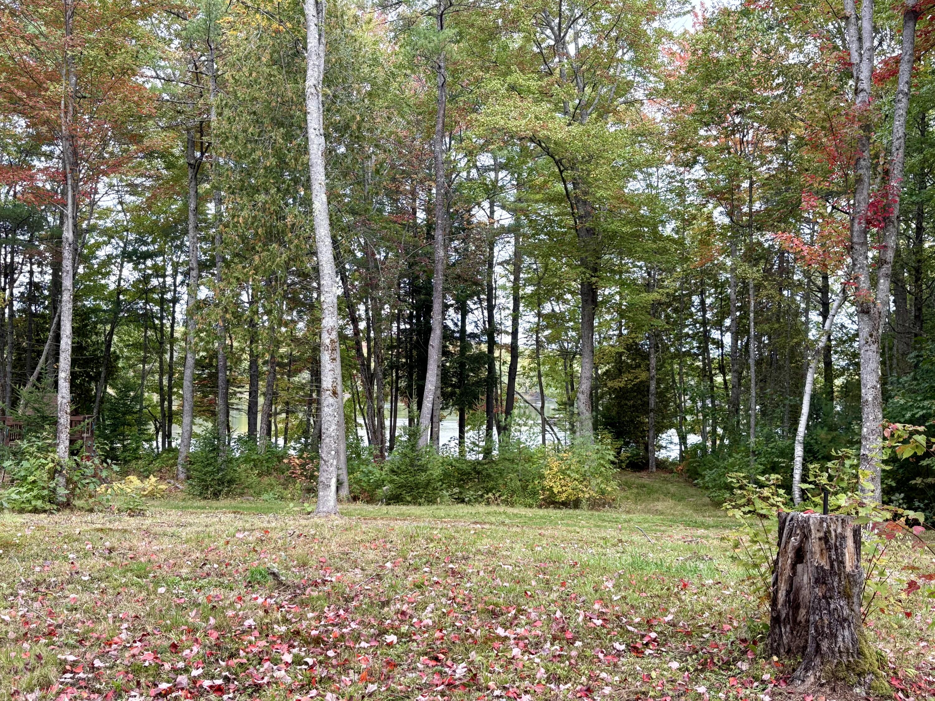 Map3-lot38b Main Road Passadumkeag, ME 04475 - Photo 32 of 51 IMG_6363