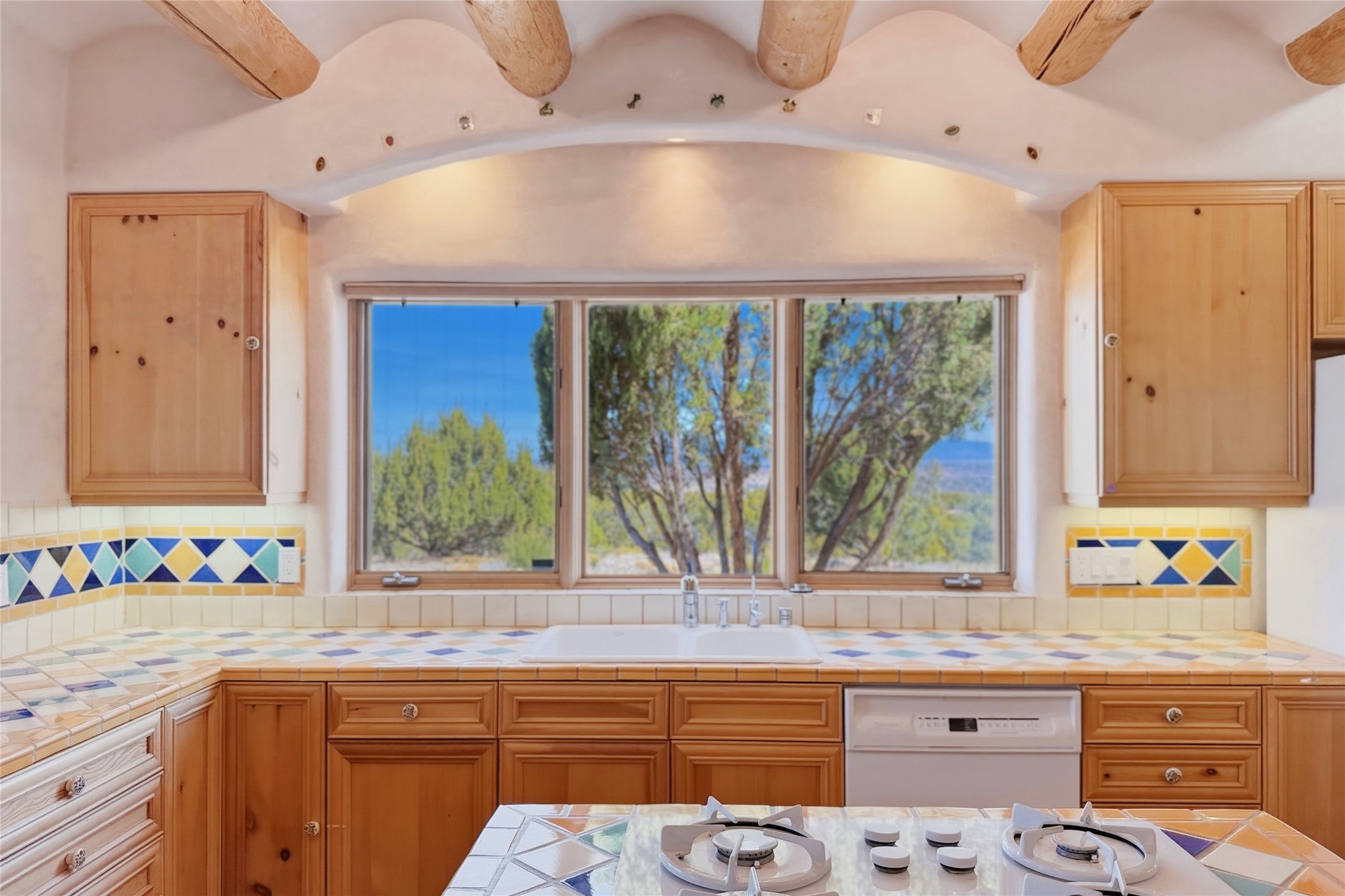39 Gopeyka Canyon Road Cerrillos, NM 87010 - Photo 18 of 41