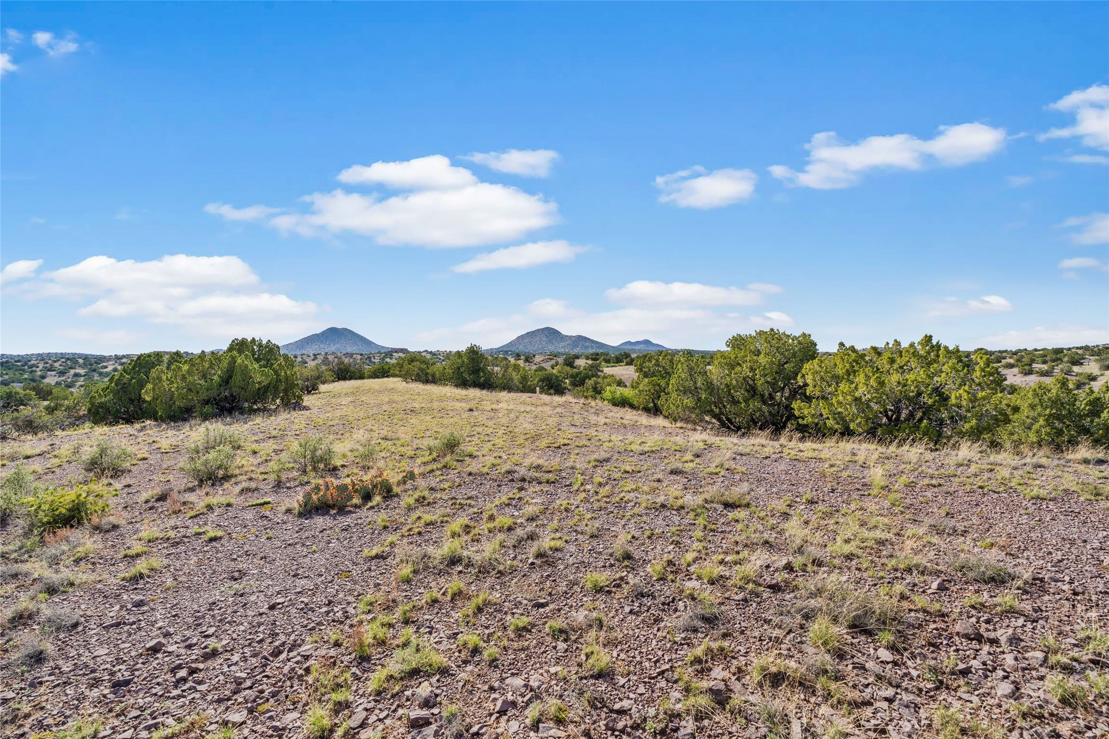 31 Gallina Road Santa Fe, NM 87508 - Photo 11 of 19