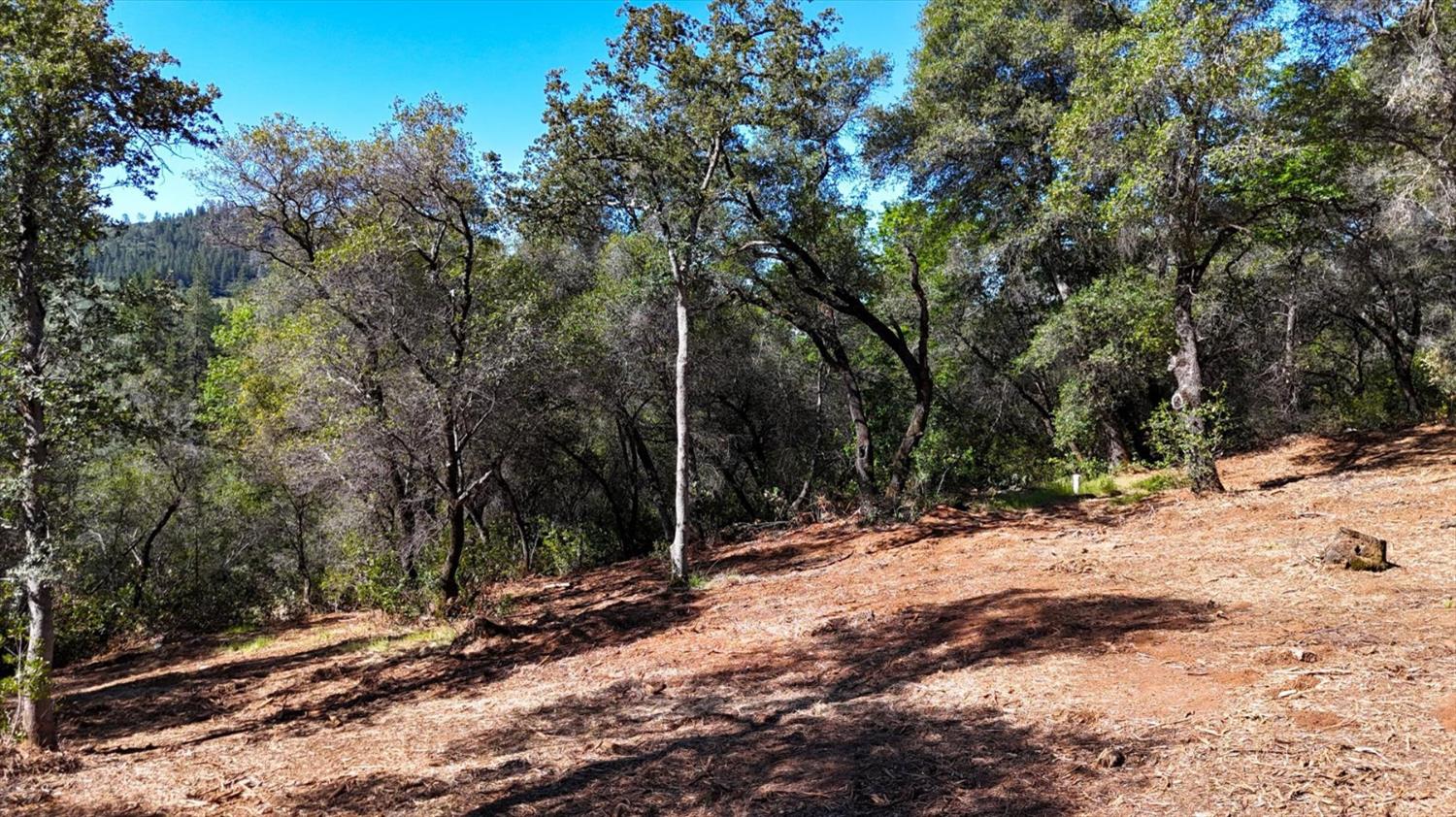 0 Southridge Road Penn Valley, CA 95946 - Photo 20 of 72