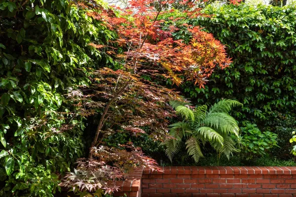 $5,498,000 | 1880 Fulton Street, Palo Alto, CA 94303