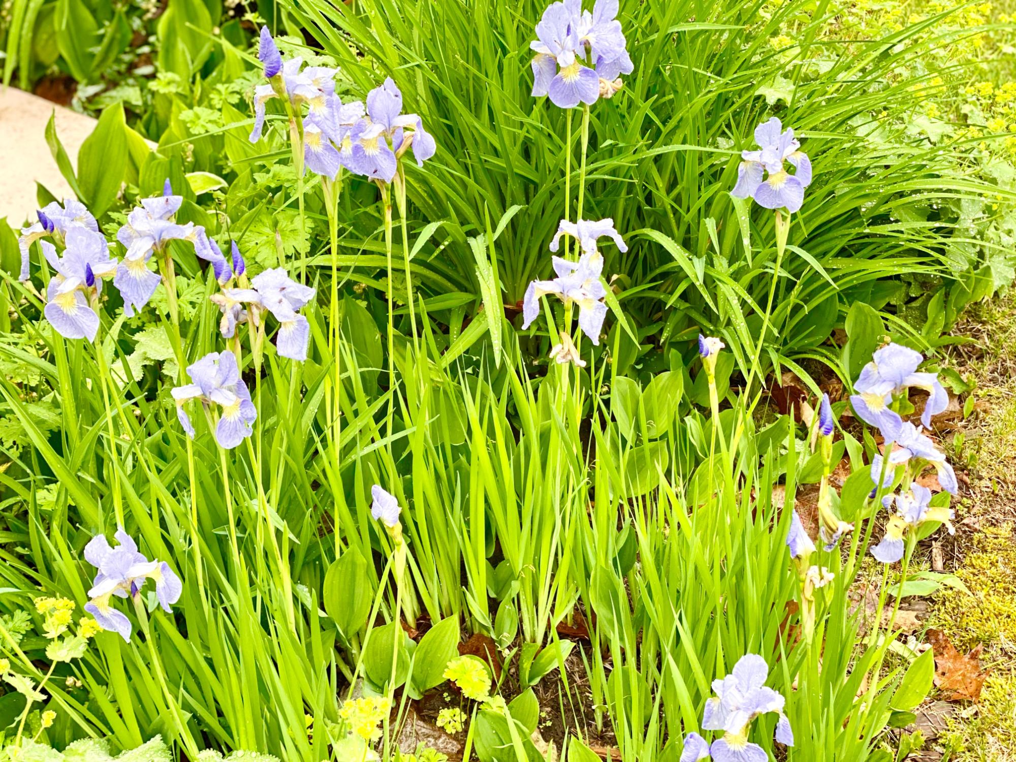 3075 East Lake George Road Rhinelander, WI 54501 - Photo 36 of 45 Gallery Image 36