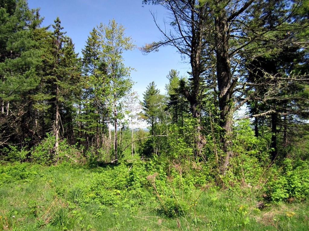 M1-l25 Oxbow Road Oxbow, ME 04764 - Photo 5 of 13 Photo