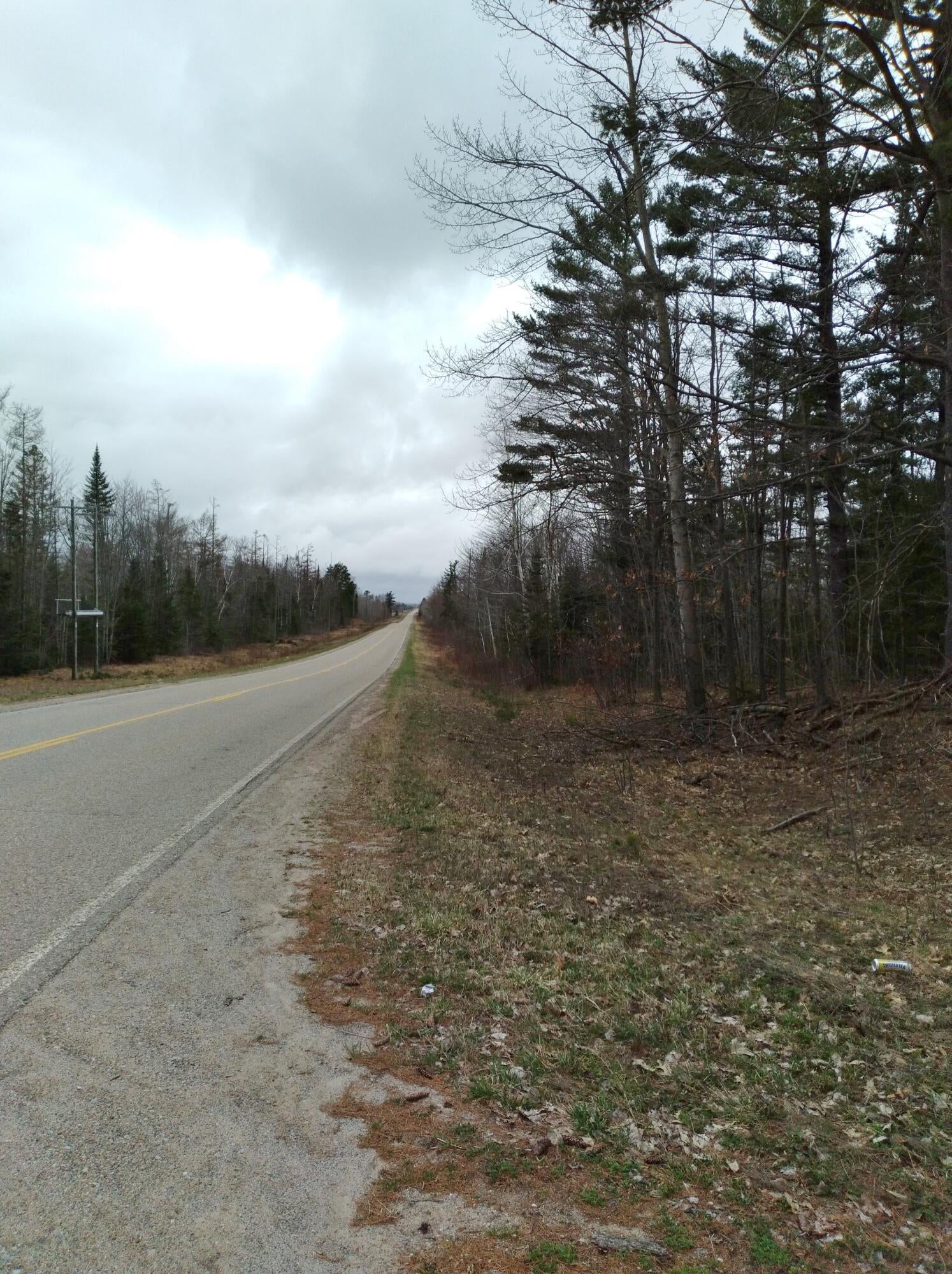 0 East Gogomain Road Pickford, MI 49774 - Photo 17 of 17 Gallery Image 17